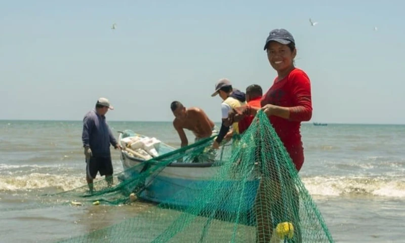 Ecuador recibirá cerca de USD 996.590 para promover prácticas pesqueras sostenibles / Foto: cortesía MAGP