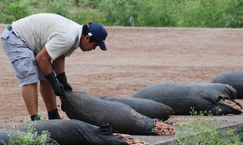 Arranca en Ecuador proyecto de matriz exportadora de gigante suizo del cacao / Foto: EFE