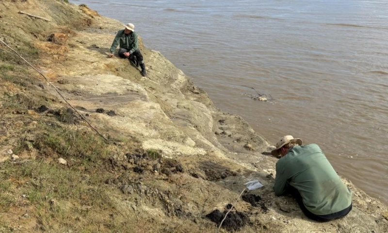 El paleontólogo Rodolfo Salas-Gismondi se adentró en las profundidades de la Amazonía ecuatoriana para recolectar y estudiar rocas y fósiles de las riberas / Foto: EFE