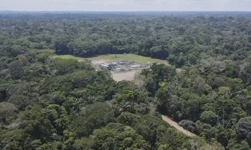 La ministra Manzano aseveró que Sacha "no se privatiza, no se vende, no se alquila"./ Foto: cortesía EFE