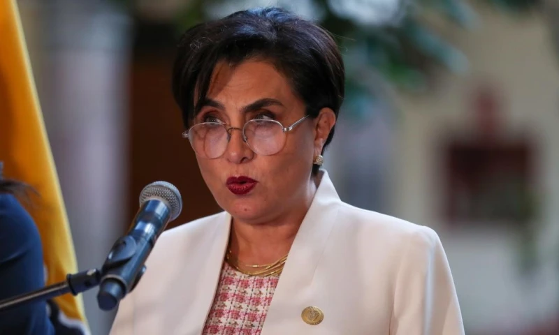 La canciller Gabriela Sommerfeld realizó el anuncio sobre Coca Codo Sinclair / Foto: EFE