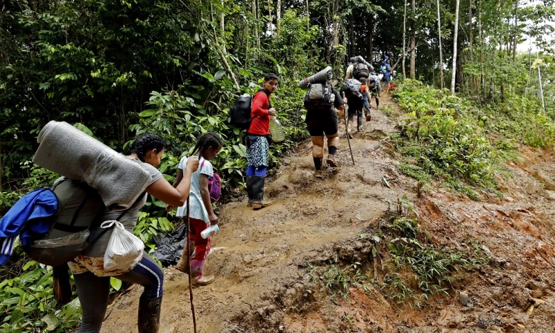Desde el 1 de enero de 2023 han cruzado por el Darién 248.901 migrantes, la mayoría son venezolanos (136.650), seguidos de los ecuatorianos (34.357)/ Foto: cortesía EFE