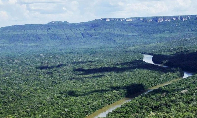 De acuerdo con datos de monitoreo ambiental, el área protegida pasó de tener más de 210.000 hectáreas de bosque a cerca de 135.000 en 2024 / Foto: cortesía El Tiempo