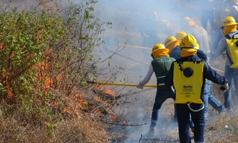 En Ecuador, desde 2010 al 2022 se registraron 22.022 incendios forestales / Foto: cortesía MAATE