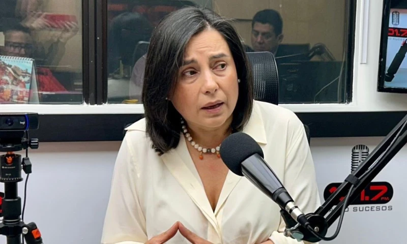 María Eulalia Silva, presidenta de la CME, fue entrevistada en radio Sucesos / Foto: cortesía Cámara de Minería del Ecuador (CME)