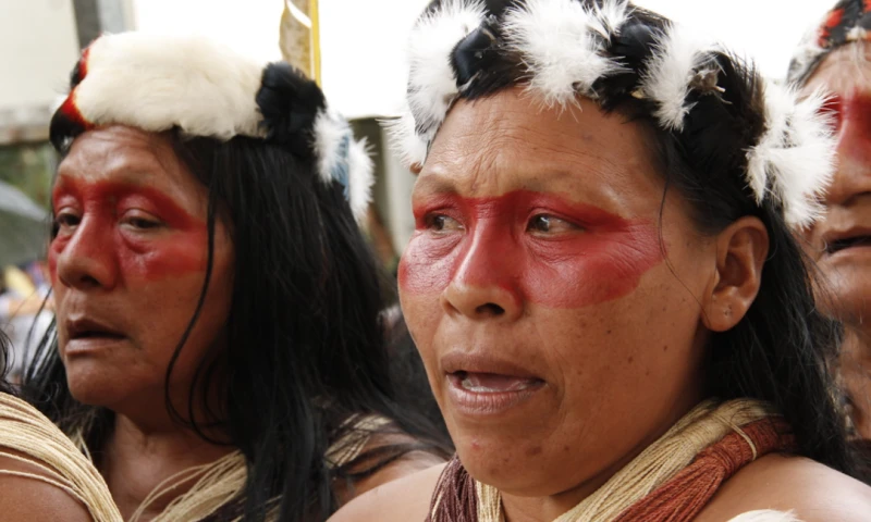En el Parque Nacional Yasuní se impulsan actividades educativas / Foto: cortesía Ministerio de Ambiente