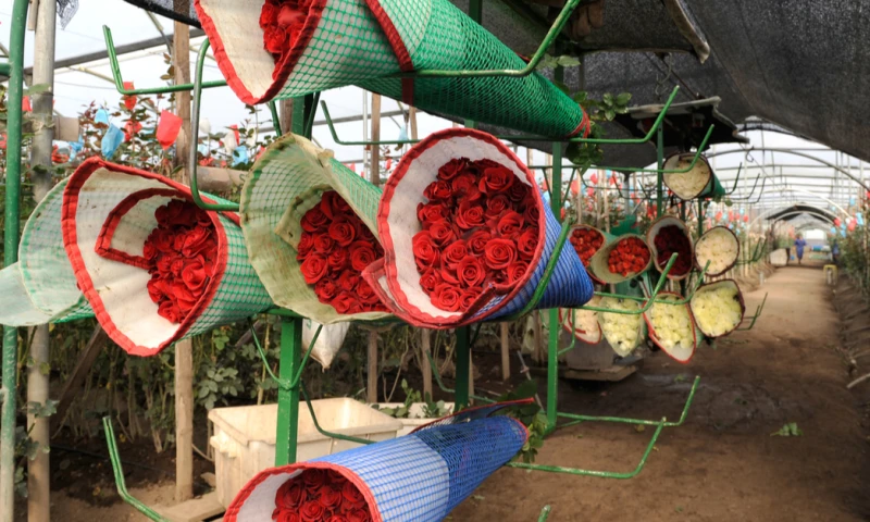 Resumen Medios Nacionales - 3 de diciembre de 2020 / Foto: Shutterstock