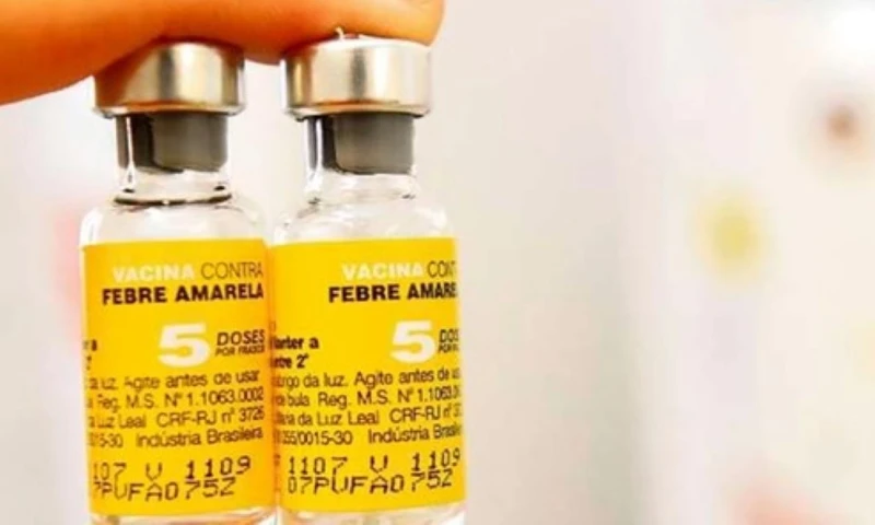 En América el riesgo de ocurrencia de nuevos brotes de fiebre amarilla de diversa magnitud "es alto" / Foto: cortesía