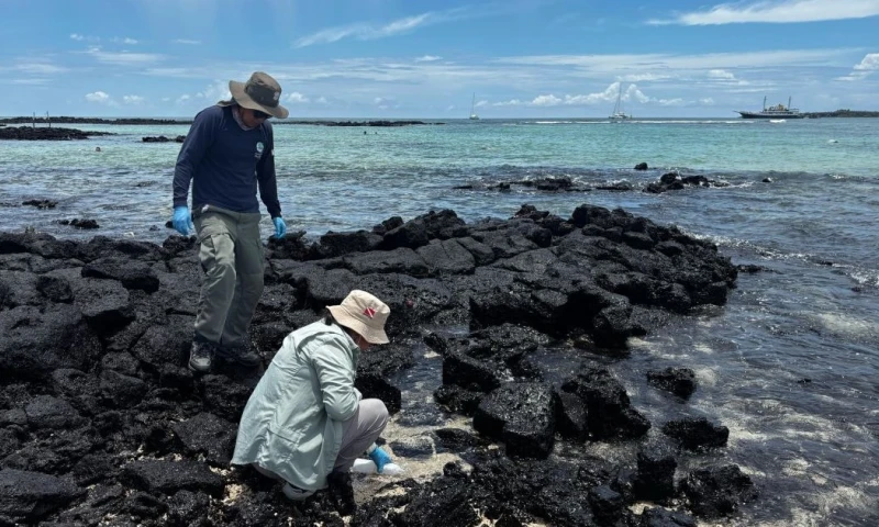 Para los especialistas, estos hallazgos enfatizan la necesidad de mejorar el tratamiento y la distribución del agua / Foto: cortesía Parque Nacional Galálagos