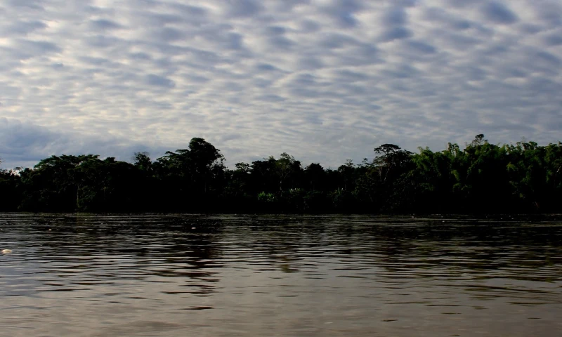 La Amazonía perdió 2,3 millones de hectáreas en 2020, su tercer peor registro / Foto: El Oriente