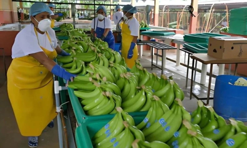 La deuda con el SRI era de alrededor de 95 millones de dólares / Foto: cortesía 