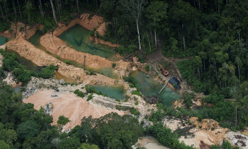 La minería afecta al 31 % del territorio indígena en la Amazonía / Foto: EFE