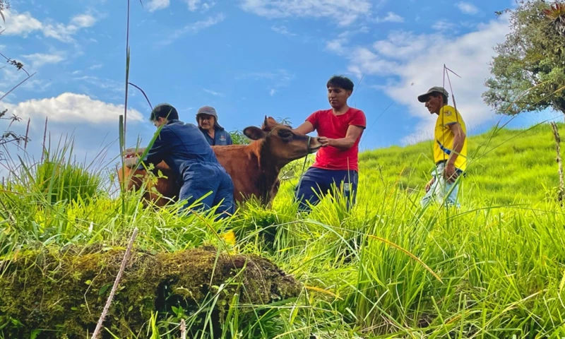 18 técnicos formarán parte de las diferentes brigadas / Foto: cortesía MAG