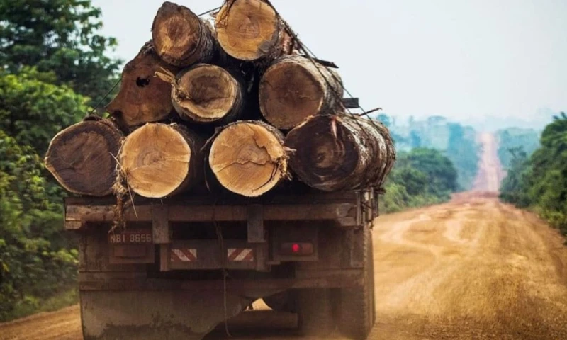 El vehículo no contaba con los permisos correspondientes y habría acelerado deliberadamente, embistiendo al comunero / Foto: cortesía