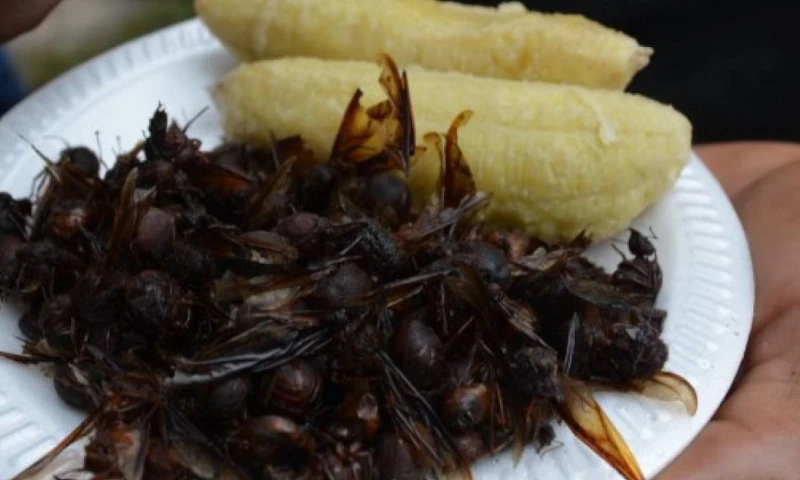 La fusión entre la herencia española con las raíces indígenas ha sido la base de una gastronomía con mucho sabor y creatividad / Foto: cortesía Expreso