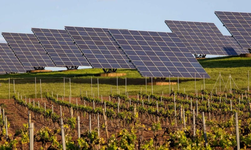 Recursos naturales: el mundo entra hoy en "números rojos" / Foto: EFE