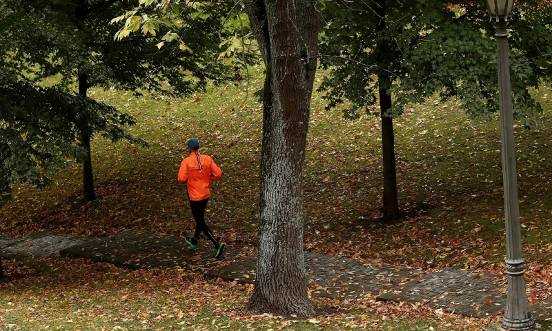Según datos de la OMS, uno de cada 20 adultos sufre depresión, lo que supone una importante carga para la salud pública en todo el mundo/ Foto: cortesía EFE