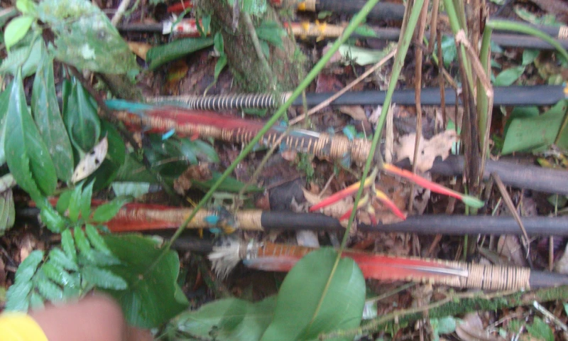 Estas son parte de la cultura de guerra que tienen las comunidades waorani. Foto: La Hora