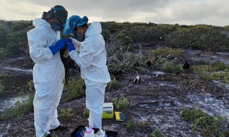 Las últimas muestras tomadas en Genovesa salieron negativas / Foto: cortesía PNG
