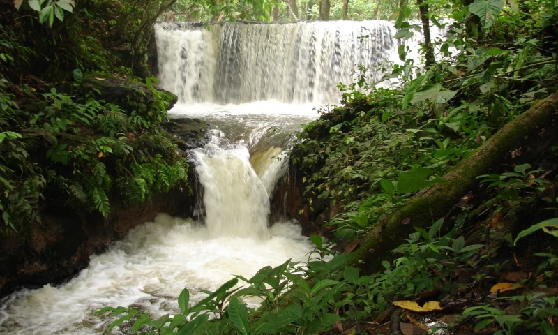Cascada de las Conchas, en el cantón La Joya de los Sachas. Foto: La Hora