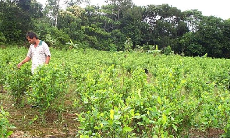 Antes de concretarse el acuerdo con las 11.385 familias se realizaron 80 reuniones con el equipo gubernamental. Foto: Agro Negocios