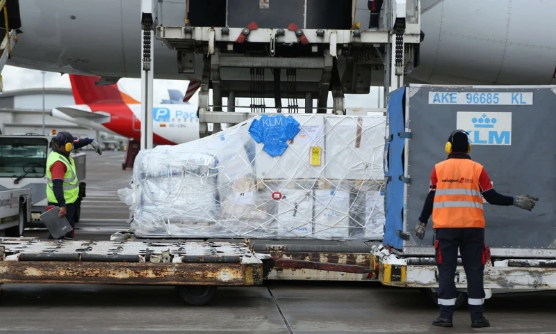 Covid-19: la vacunación avanza lentamente en el país / Foto: cortesía Presidencia