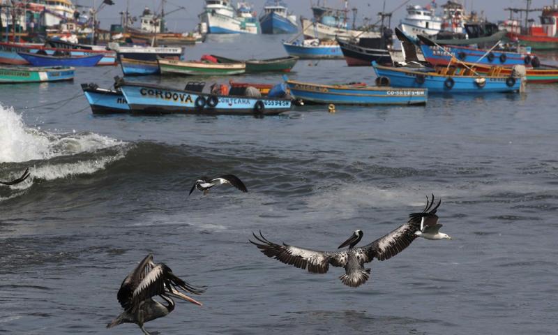 La reserva comprenderá un área natural protegida (ANP) de 115.675,29 hectáreas / Foto: EFE