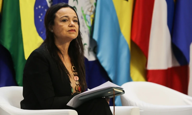 Un análisis de los datos recopilados entre 2015 y 2019 revelan que América Latina y el Caribe "fue la región que más perdió tierras al año” / Foto: EFE