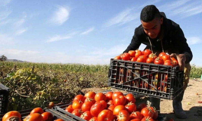  Israel (2.063) y Estados Unidos (554) lideraron en 2025 las plazas gestionadas / Foto: cortesía 
