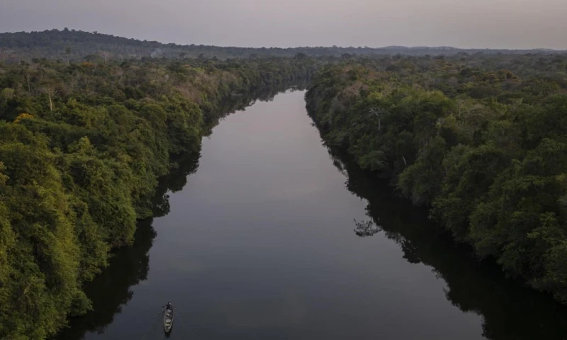 El análisis lo llevó a cabo la Red Amazónica de Información Socioambiental Georreferenciad y MapBiomas / Foto: EFE