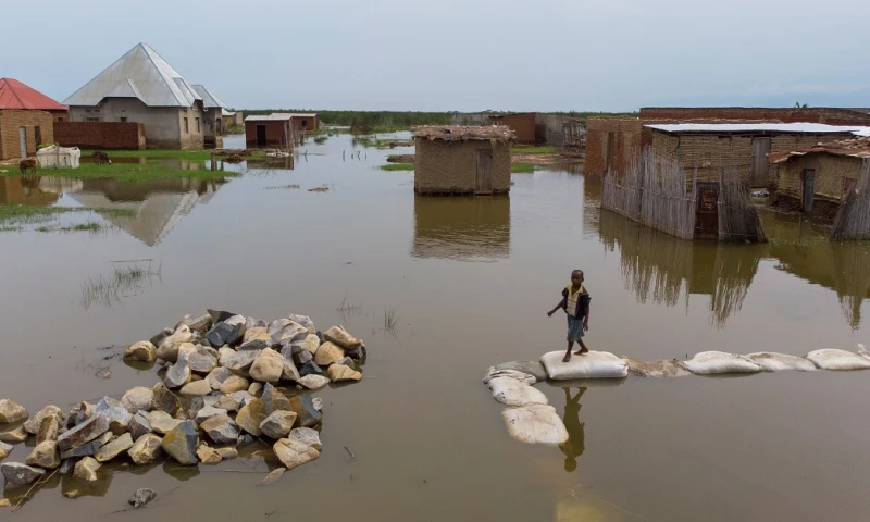 Ingresos de 8 de cada 10 hogares con niños en Ecuador bajaron por la pandemia / Foto: EFE