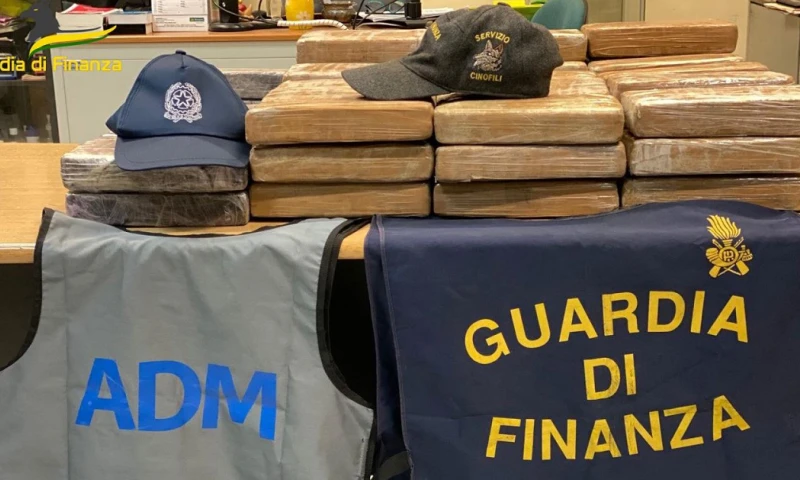 El hallazgo fue posible gracias a Jackpot y Pes, dos perros de la unidad canina de la Guardia de Finanzas / Foto: EFE