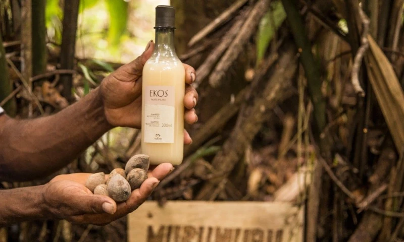 Estos productos amazónicos han ganado reconocimiento por sus propiedades nutricionales y regenerativas / Foto: cortesía Natura