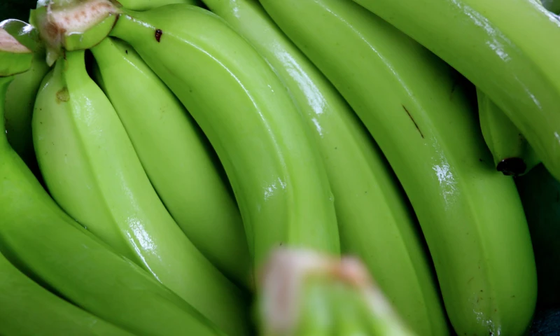 $6.25 es el precio mínimo de la caja de banano para el 2022 / Foto:Ministerio de Agricultura