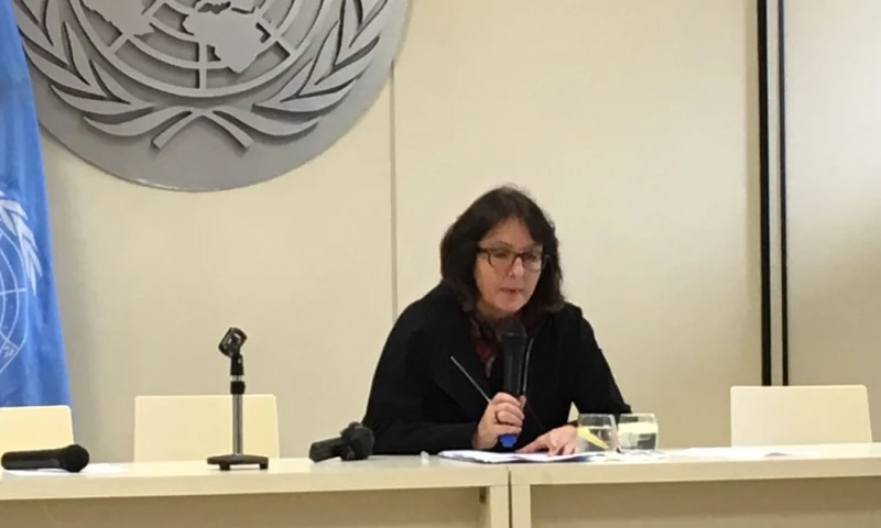 Expertos ONU critican a Ecuador por vetar el nuevo Código de Salud / Cortesía de la ONU