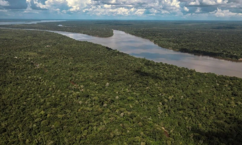 La comisaria aseguró que el Ejecutivo sigue comprometido contra la deforestación / Foto: EFE 