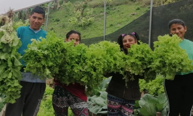 En la provincia de Zamora Chinchipe, el MIES atiende a 647 personas con discapacidad / Foto: cortesía MIES