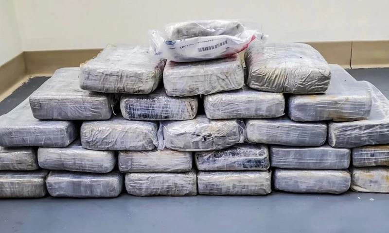 El cargamento partió en barco desde Ecuador y después de pasar por México y Alemania llegó a Budapest en tren / Foto: cortesía 