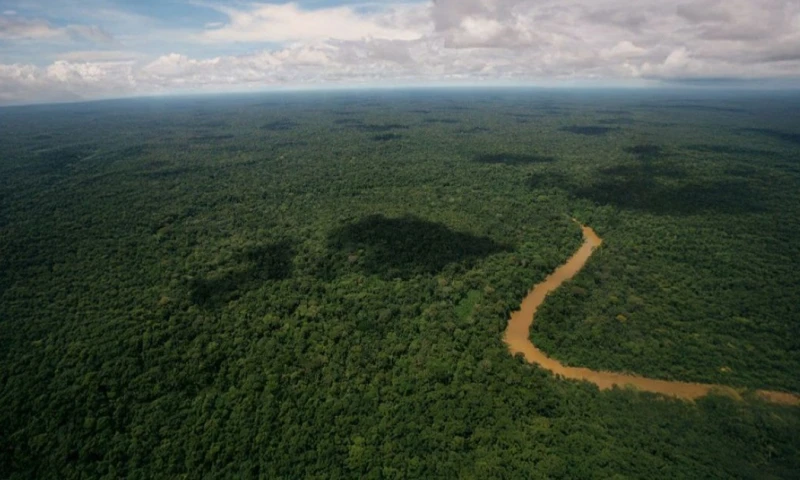 El Programa Biocorredor Amazónico busca preservar ecosistemas terrestres y de agua dulce / Foto: cortesía MAE