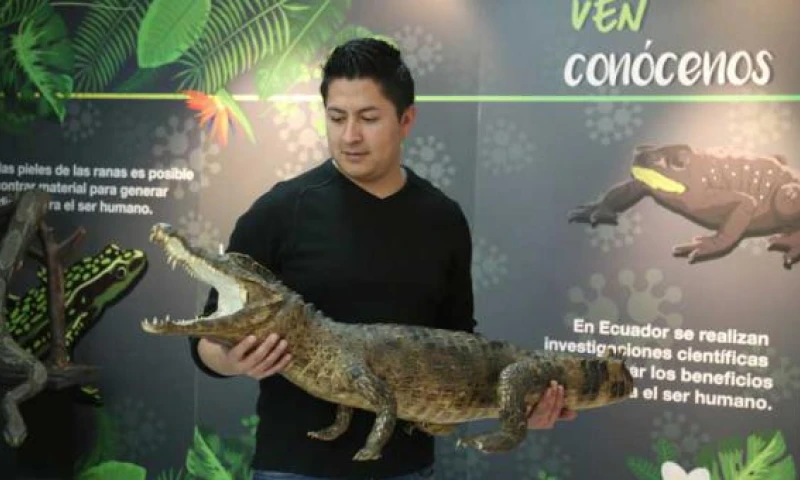Siete museos de Quito exhibirán piezas de flora, fauna y arte del oriente ecuatoriano. Foto: El Comercio