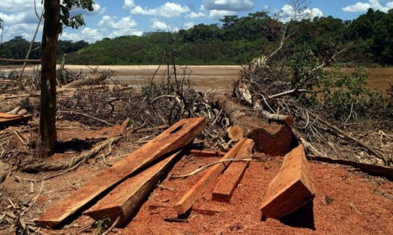 Informes recientes subrayan el impacto de la minería ilegal como una amenaza directa a la Amazonía / Foto: cortesía 