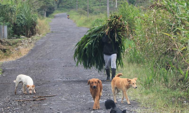 Las provincias amazónicas son las más pobres de Ecuador / Foto: El Oriente