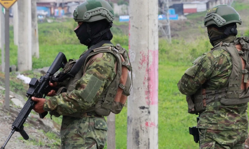 Las fuerzas de seguridad del Estado han detenido en dichas operaciones hasta el momento a 7.712 personas, 241 de ellas bajo cargos de terrorismo./ Foto: cortesía EFE