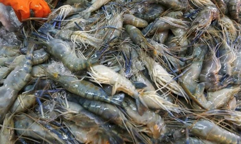 China se mantuvo como el principal destino, seguida por Europa y Estados Unidos / Foto: EFE