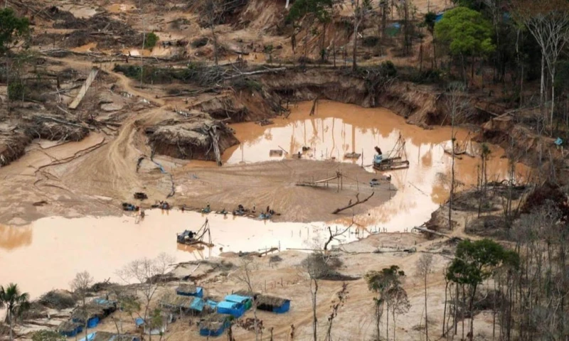 Un informe alerta que ambas economías ilícitas operan de forma integrada y amenazan a comunidades indígenas, ecosistemas amazónicos y la seguridad regional./ Foto: archivo