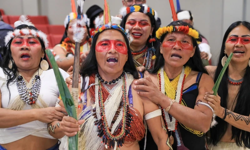 El tribunal internacional dictaminó que el Estado ecuatoriano vulneró varios derechos de los tagaeri y taromenane, dos etnias que habitan en el corazón del Parque Nacional Yasuní/ Foto: cortesía