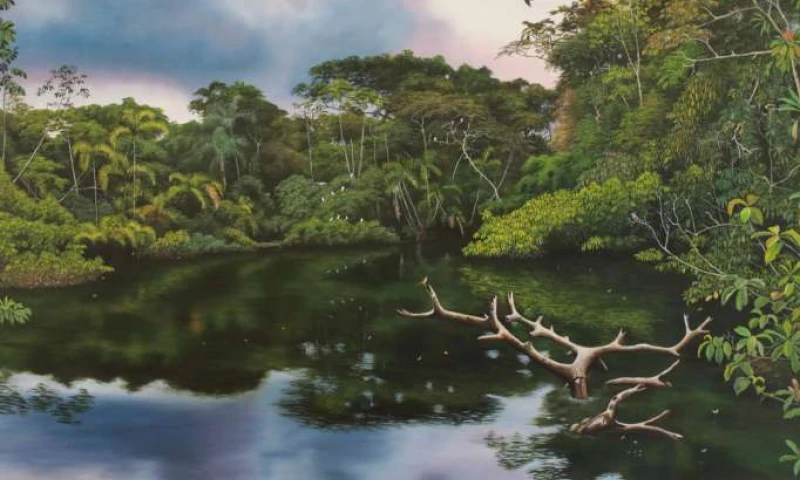 NATURALEZA. ‘Amanecer en el río Cuyabeno’ es la obra de Ana Piyahuaje, una artista autodidacta. Foto: La Hora