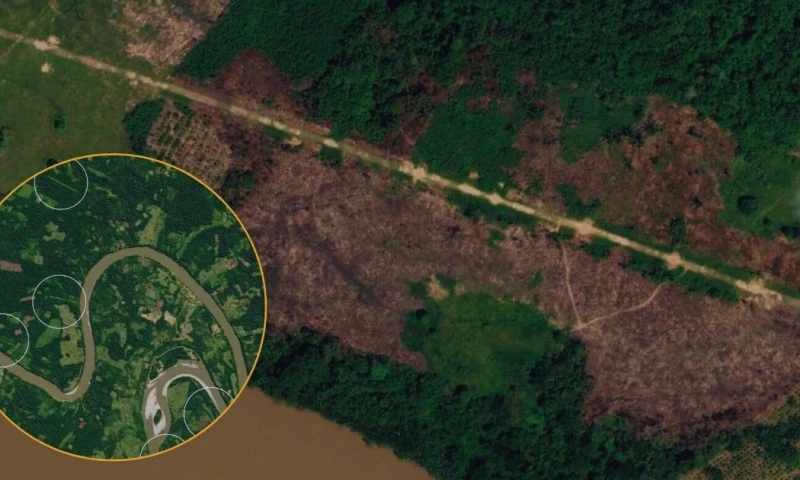 Más de 70 de estas pistas son utilizadas por redes criminales / Foto: cortesía Mongabay