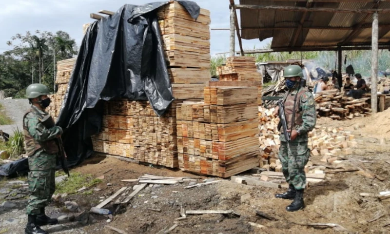 Resumen Medios Nacionales - 26  de enero de 2021 / Foto: Primicias 