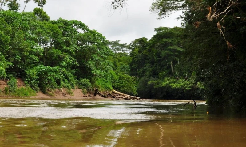 El río Amazonas presenta niveles cercanos al umbral hidrológico amarillo en puntos de control como Apu y Santa Rosa / Foto: cortesía